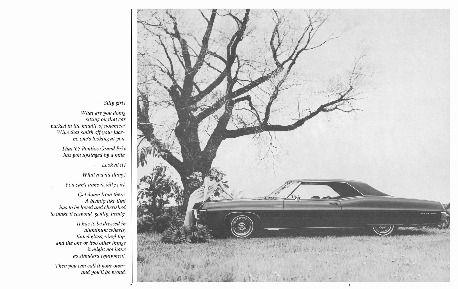 n_1967 Pontiac Accessories-02-03.jpg